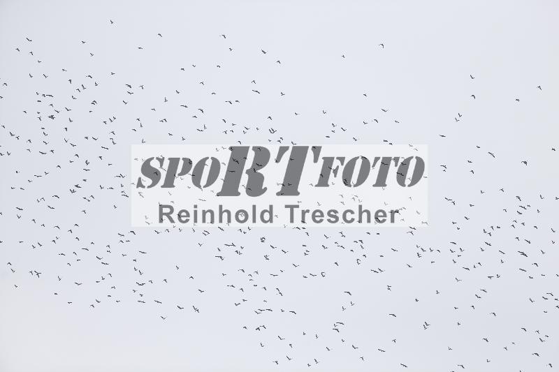 /57 03.10.2025 Speer Racing ADR/Impressionen